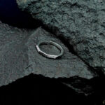 Nexa Stainless Steel Ring